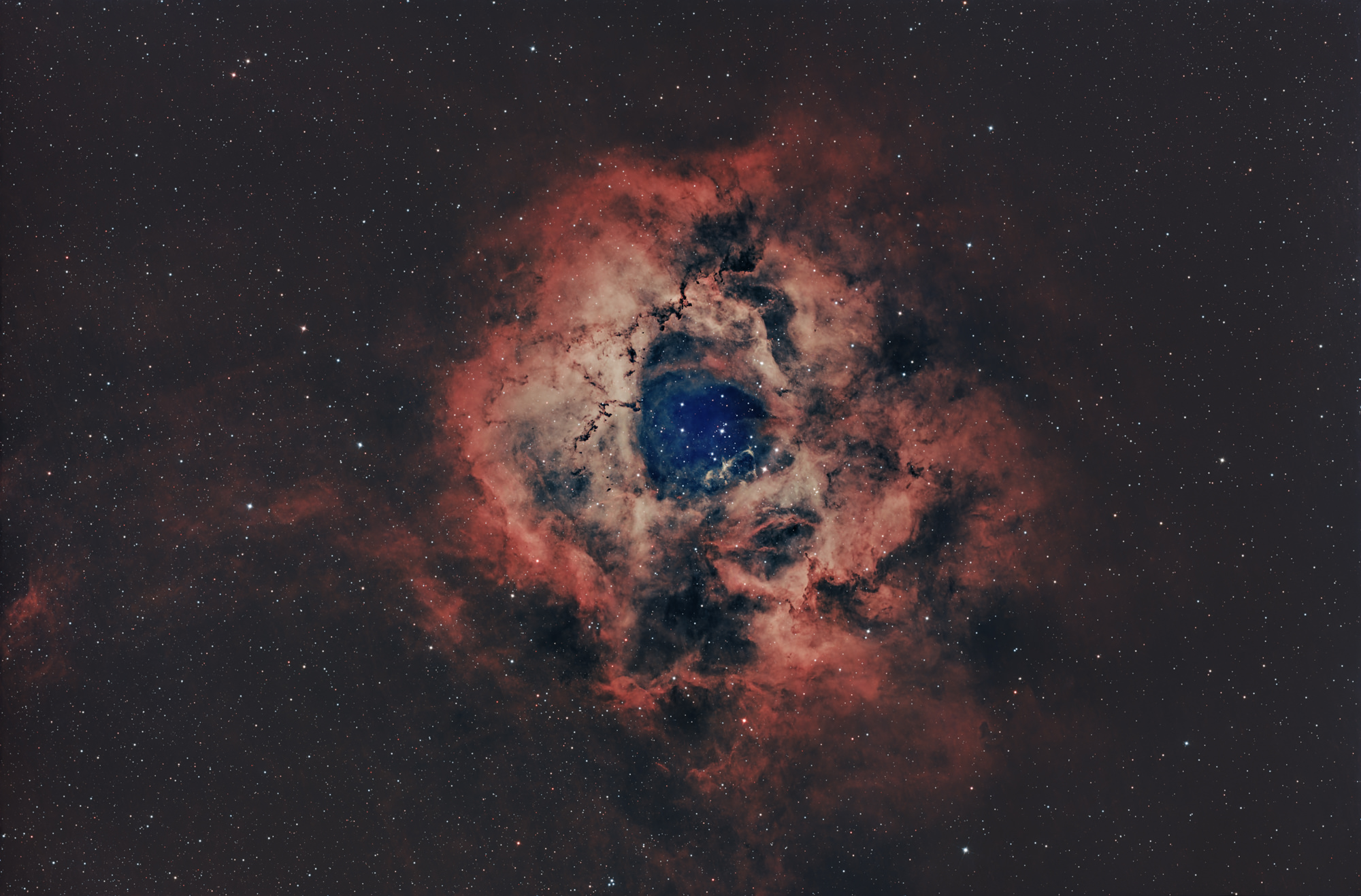 The Rosette Nebula (Caldwell 49) is an H-II region located at the edge of a giant molecular cloud in the Monoceros region of the Milky Way. The stars of the open star cluster NGC 2244 in the center were formed from the material of the nebula.